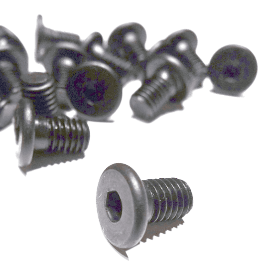 Picture of M5 Low Profile Screws– Pack of 10
